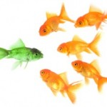 istock_000006450448xsmall-300x220